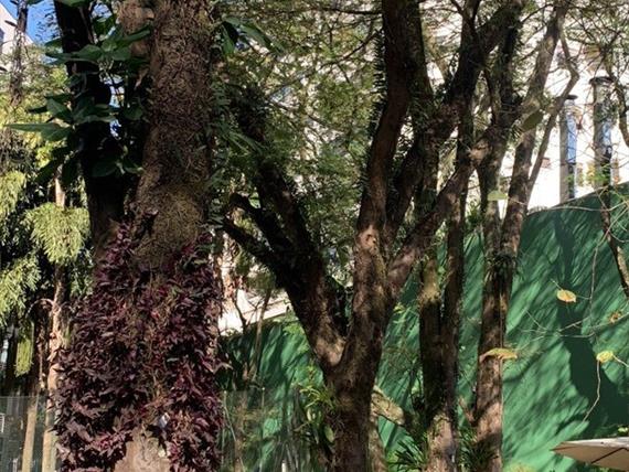12) área verde 3.jpg