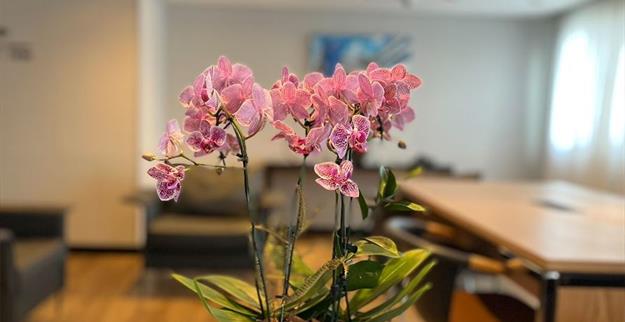 1) 8° andar vip - 1.jpg