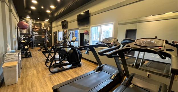 8) academia 3 omni.jpg