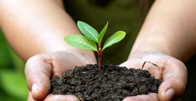 10) área verde 1 omni.jpg