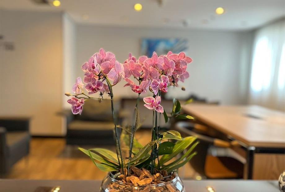 1) 8° andar vip - 1.jpg