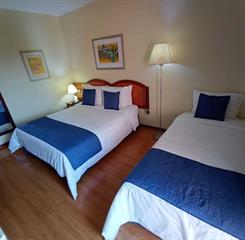 whatsapp image 2022-09-09 at 16.43.29.jpeg