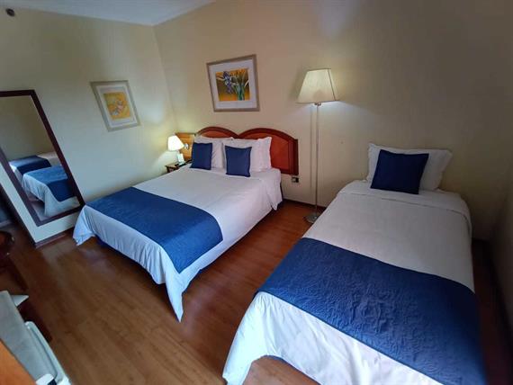 whatsapp image 2022-09-09 at 16.43.29.jpeg