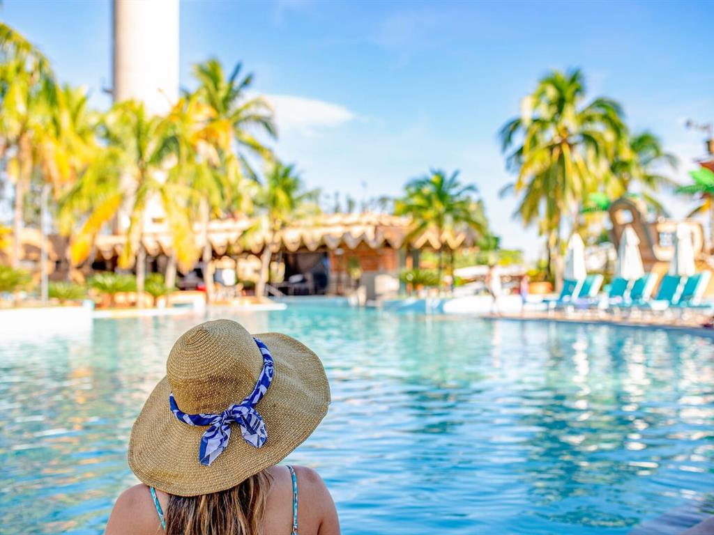 01. Férias de Janeiro - 01 a 31 de Janeiro