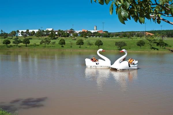 Foto 4 do Blue Tree Thermas de Lins