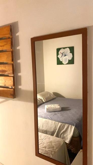 boldro home 25.jpeg