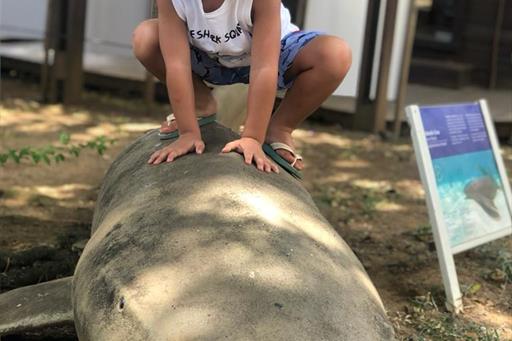 boldro home jul 2023 06.jpg