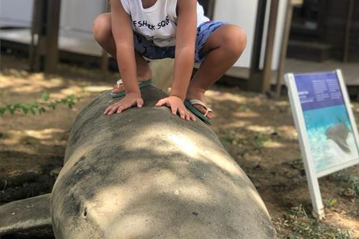 boldro home jul 2023 06.jpg