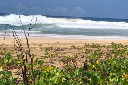 boldro home jul 2023 09.jpg