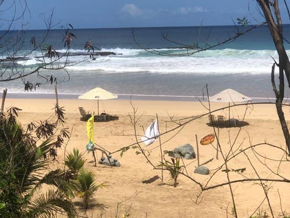 boldro home jul 2023 08.jpg