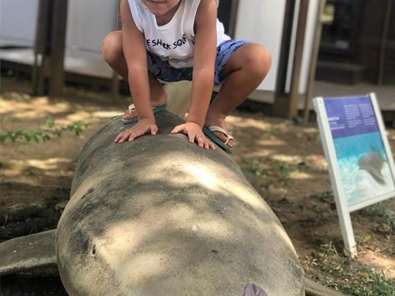 boldro home jul 2023 06.jpg