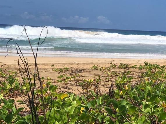 foto atualizada bh 013.jpg