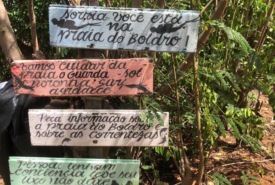 boldro home jul 2023 07.jpg