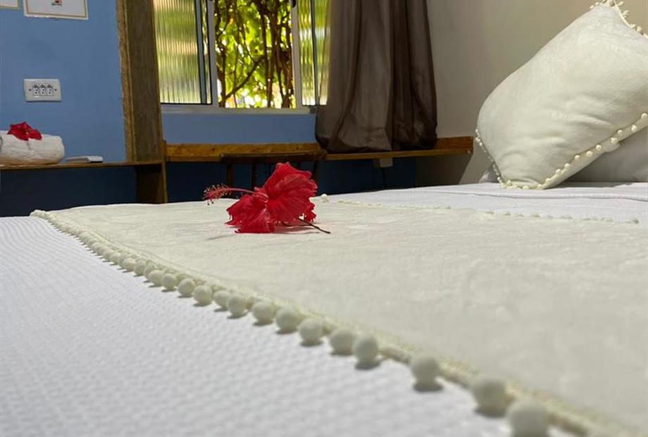 martins atualizada 03 jun 02.jpg