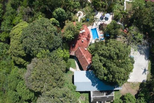 Amazonia Jungle Hotel 11.JPG