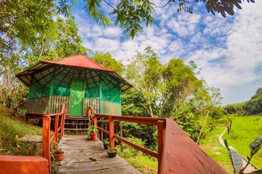 Amazonia Jungle Hotel 24.JPG