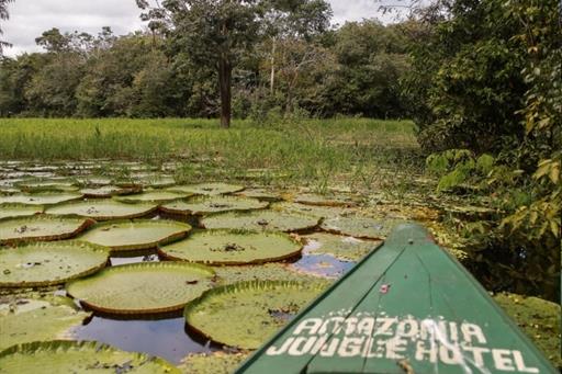 whatsapp image 2021-05-17 at 11.59.57 (25).jpeg