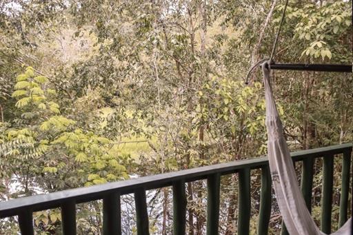 whatsapp image 2021-05-17 at 11.59.57.jpeg