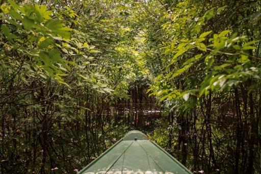 whatsapp image 2021-05-17 at 11.59.57 (28).jpeg