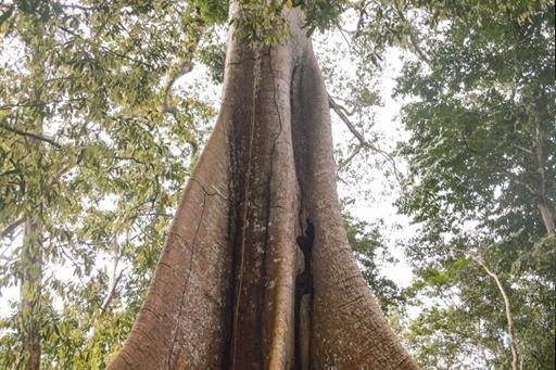 whatsapp image 2021-05-17 at 12.13.40 (8).jpeg