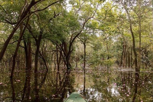 whatsapp image 2021-05-17 at 11.59.57 (27).jpeg