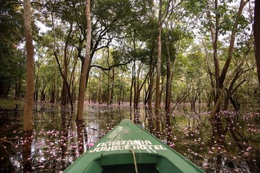 whatsapp image 2021-05-17 at 11.59.57 (21).jpeg