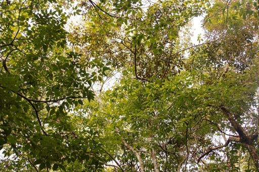 whatsapp image 2021-05-17 at 11.59.57 (24).jpeg