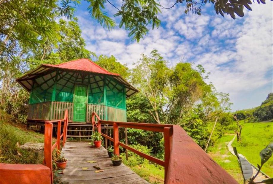 Amazonia Jungle Hotel 24.JPG