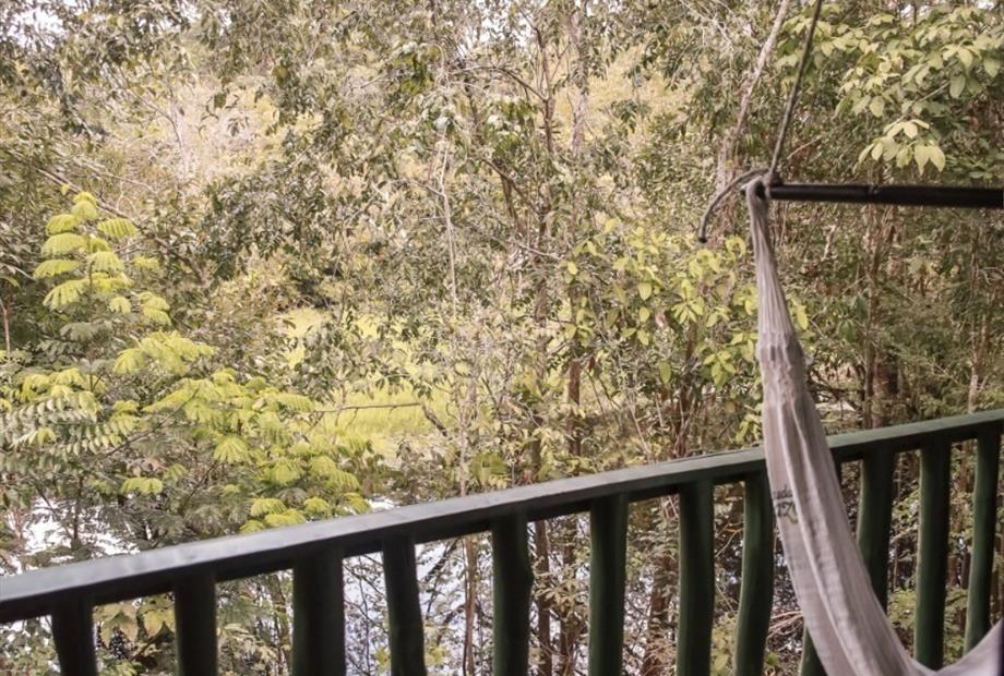 whatsapp image 2021-05-17 at 11.59.57.jpeg