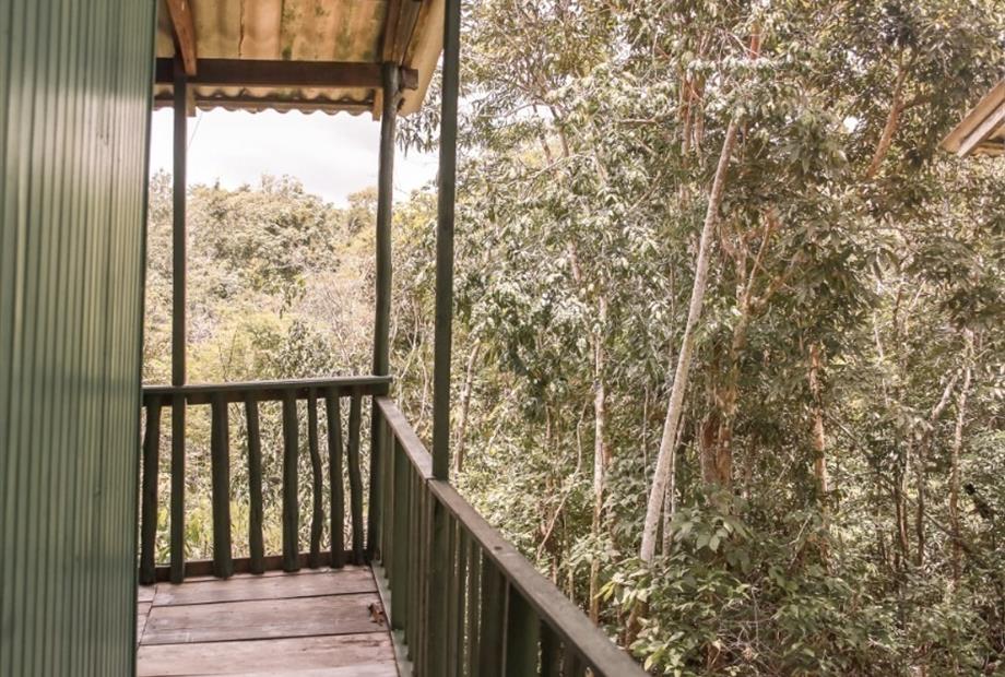 whatsapp image 2021-05-17 at 11.59.57 (8).jpeg