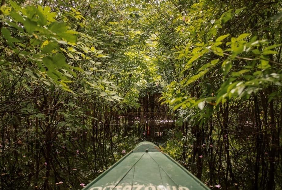 whatsapp image 2021-05-17 at 11.59.57 (28).jpeg