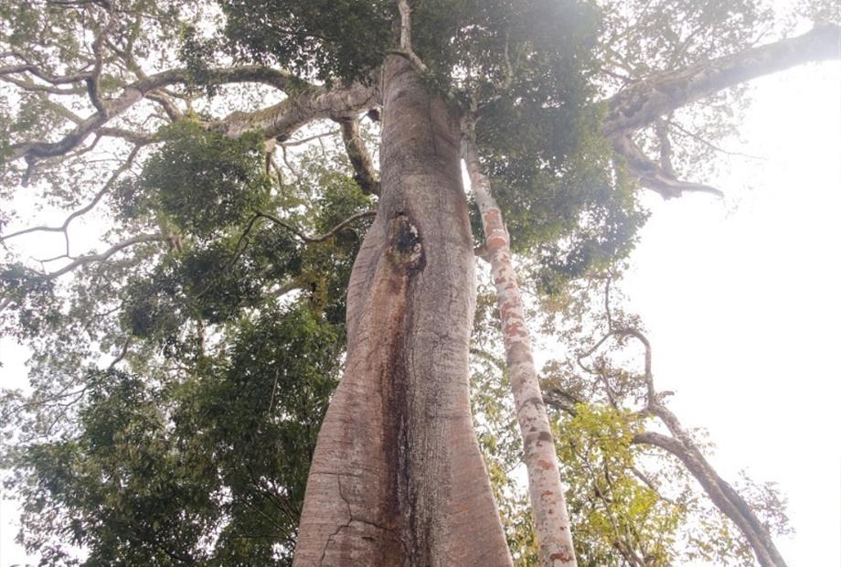 whatsapp image 2021-05-17 at 12.13.40 (10).jpeg