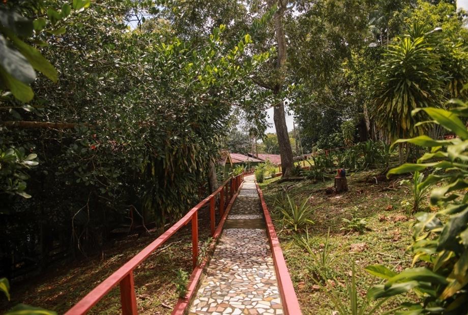 whatsapp image 2021-05-17 at 12.13.40 (17).jpeg