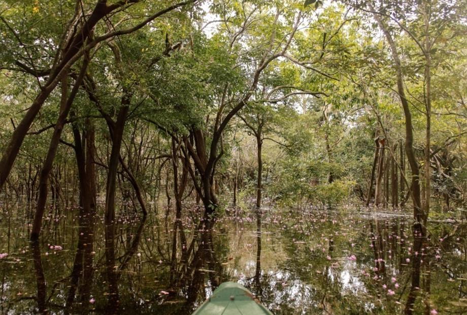 whatsapp image 2021-05-17 at 11.59.57 (27).jpeg