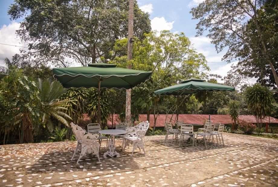 whatsapp image 2021-05-17 at 12.13.40 (19).jpeg