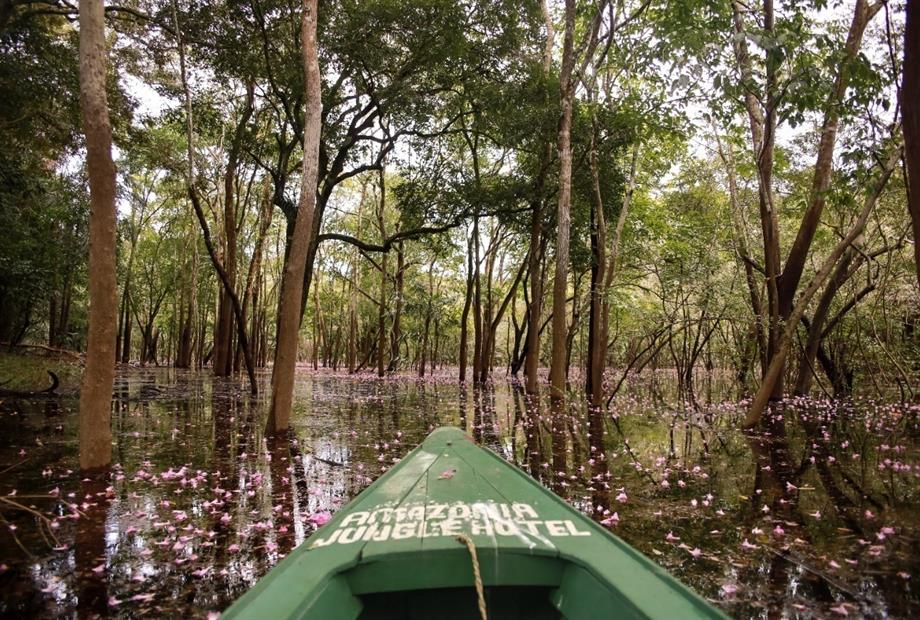 whatsapp image 2021-05-17 at 11.59.57 (21).jpeg