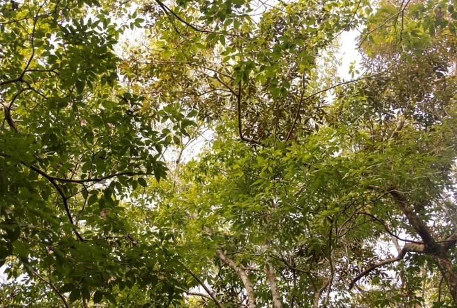 whatsapp image 2021-05-17 at 11.59.57 (24).jpeg