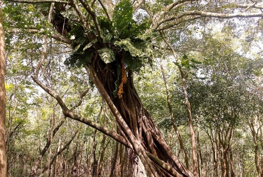 whatsapp image 2021-05-17 at 11.59.57 (23).jpeg