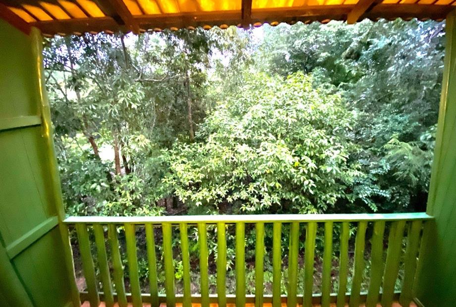 img_0409 reduzida.jpeg