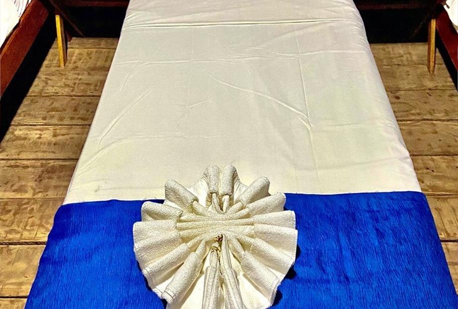 img_0411 reduzida.jpeg