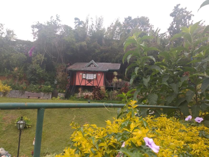 CABANA 2.jpg