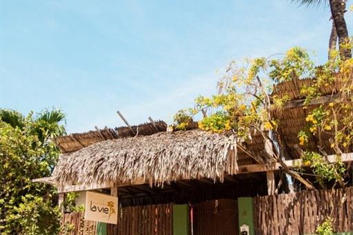 _mg_9093 grande.jpeg