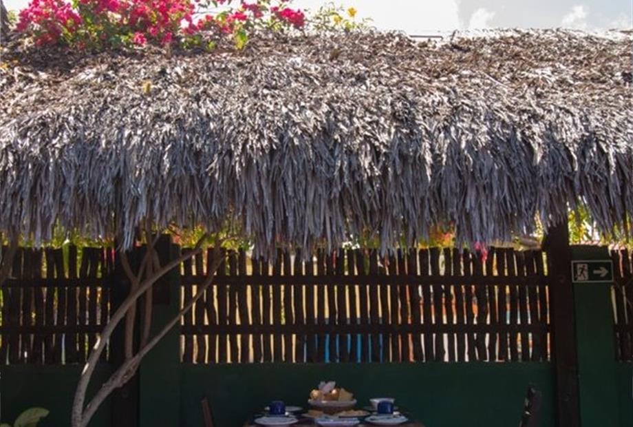 _mg_8988 grande.jpeg