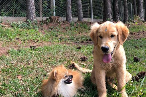 whatsapp image 2021-01-16 at 14.15.55 (5).jpeg