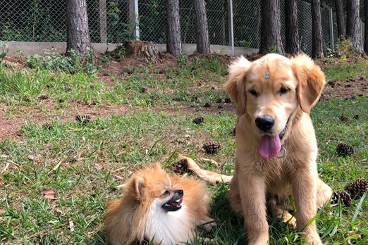 whatsapp image 2021-01-16 at 14.15.55 (5).jpeg