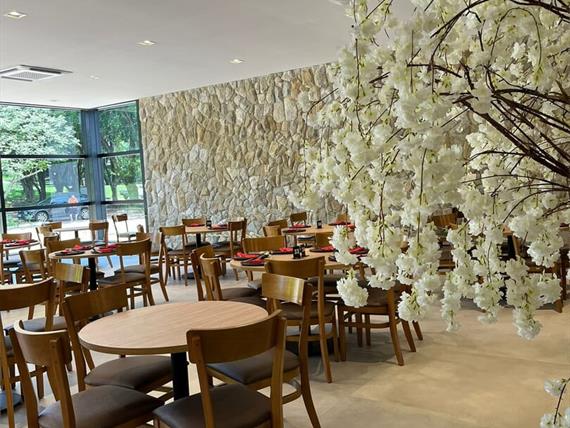 whatsapp image 2026-01-06 at 17.42.30.jpeg