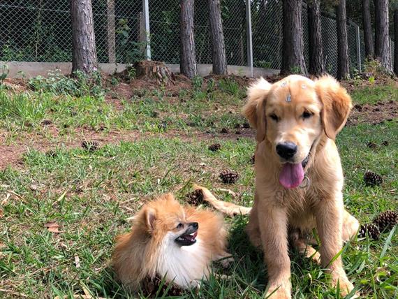 whatsapp image 2021-01-16 at 14.15.55 (5).jpeg