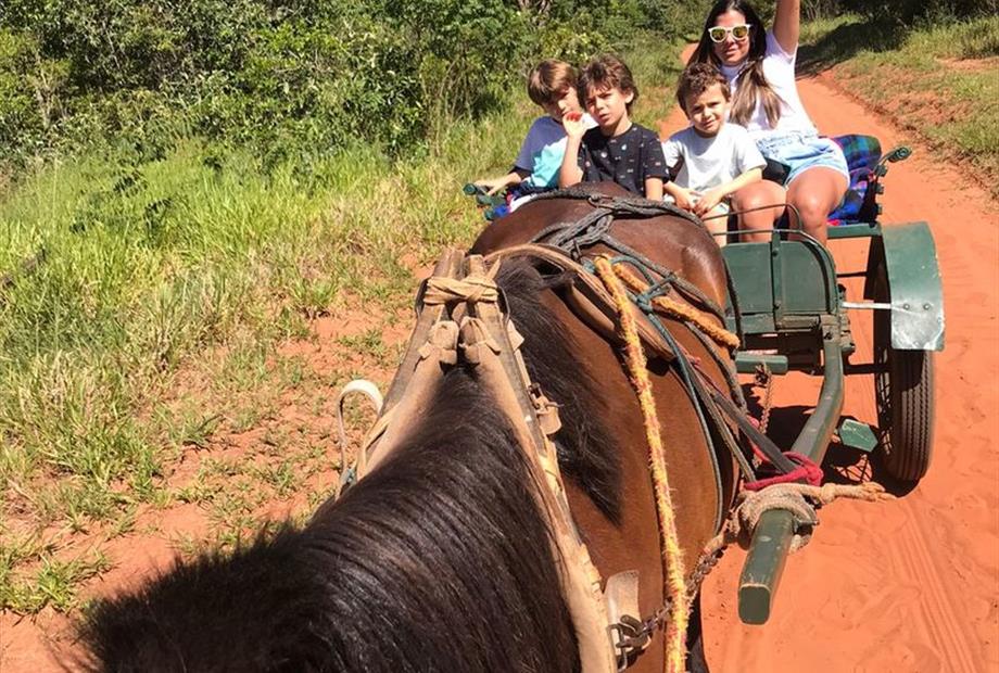 whatsapp image 2022-12-23 at 10.07.55.jpeg