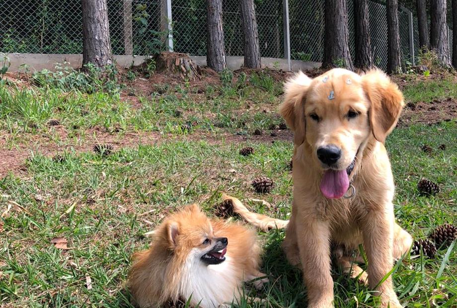 whatsapp image 2021-01-16 at 14.15.55 (5).jpeg