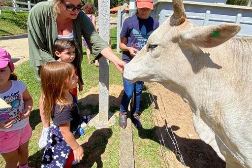 design sem nome (14).jpg